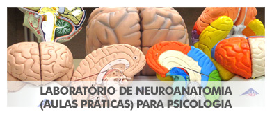 Laboratório de Neuroanatomia (aulas práticas) para Psicologia